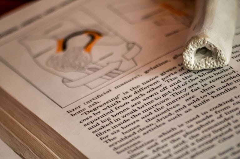 The Anatomy of a Book