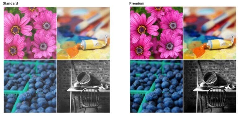 Training #382 – Hot Seats and Print Interiors
