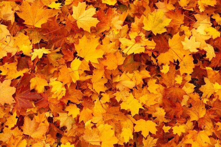 September Holidays