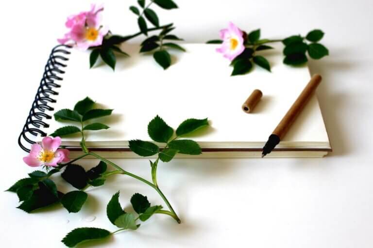Notebook with flowers